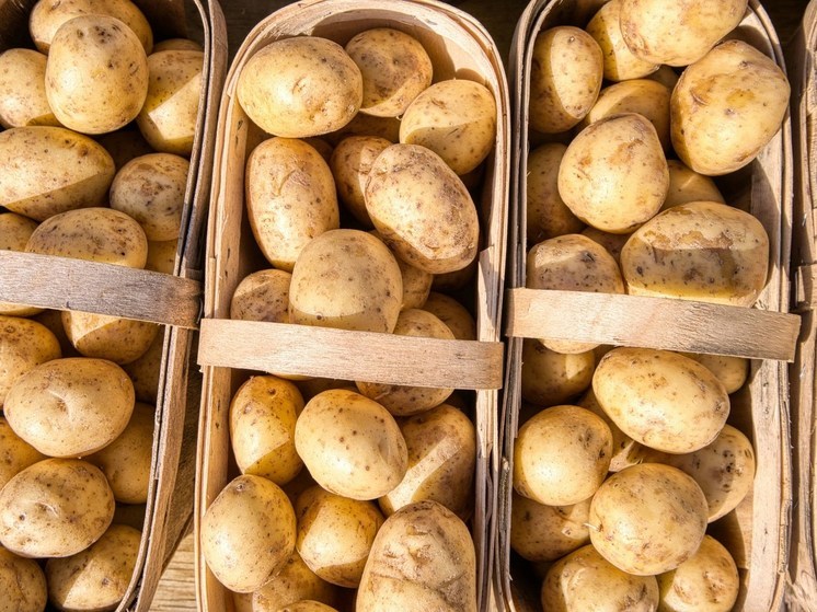 В Скадовский округ привезли 395 продуктовых наборов для льготников