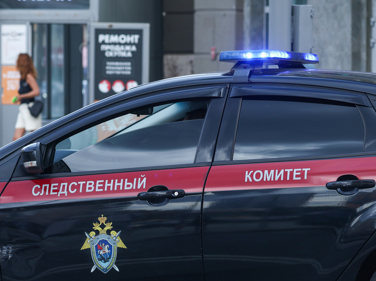 СК РФ: причиной смерти четверых детей в Красноярском крае стало отравление инсектицидами