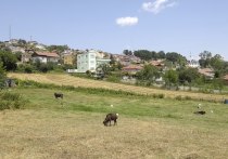 Сохранились в первозданном виде
