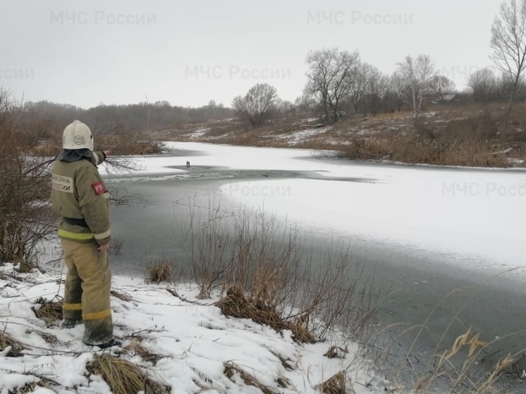 В Орловской области мужчина провалился под лёд