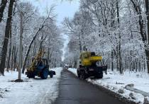 Сегодня жителям Пензы страшно гулять по Олимпийской аллее. А причиной этому стало неоднократное падение деревьев.