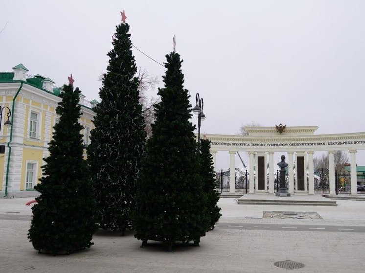 В Оренбурге ёлки расставляют по всему центру