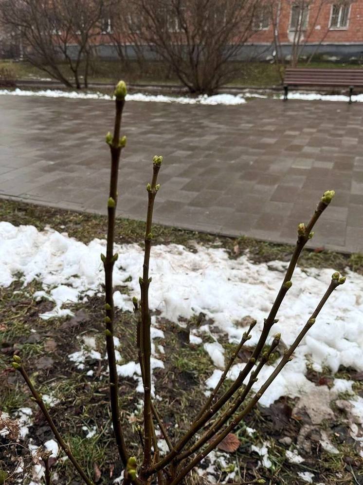 Пасмурно и около 0°С ожидается в Нижнем Новгороде 3 декабря