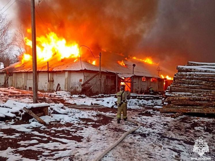 В Сафонове горел цех по производству поддонов