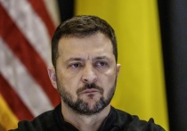 Украинский лидер Владимир Зеленский в интервью Kyodo News раскрыл число потерь вооруженных сил Украины (ВСУ) с начала проведения Россией специальной военной операции (СВО).