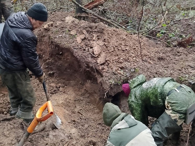 Поисковики нашли в Новгородском районе останки 13 красноармейцев