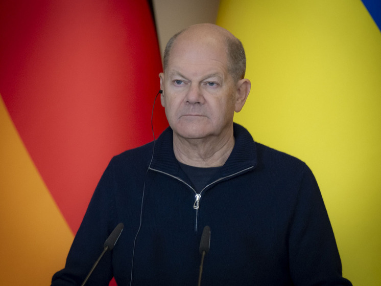 Журналист Боуз напомнил Шольцу о немцах после его послания Путину по Украине