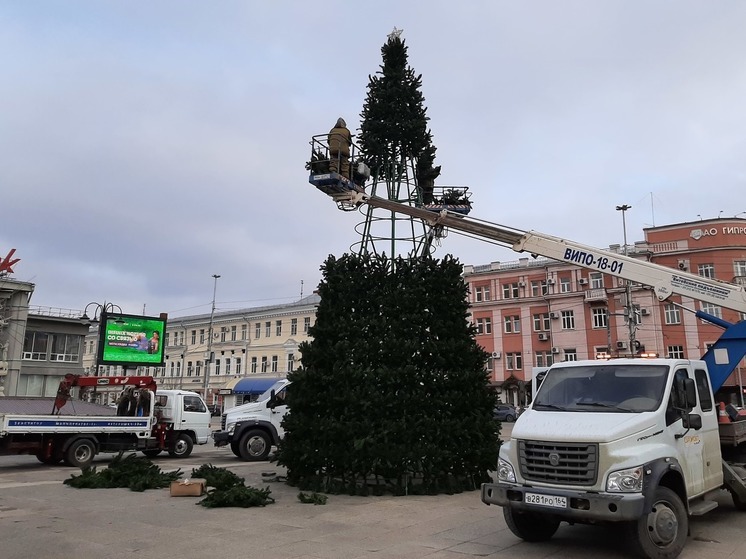 В центре Саратова установили новогоднюю ёлку