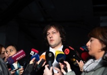 Премьер-министр Грузии Ираклий Кобахидзе в ходе брифинга заявил, что организаторами протестных акций в Тбилиси являются оппозиционные политики и неправительственные организации, и они будут привлечены к ответственности. Его слова приводит РИА «Новости».