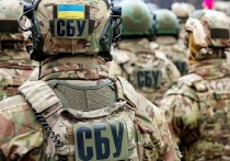 Ливанский телеканал «Аль-Маядин» со ссылкой на осведомленные источники сообщает, что в боях против сирийской правительственной армии вместе с оппозиционными группировками также принимает участие разведывательное подразделение центра специальных операций Службы безопасности Украины (СБУ), известное как «Белые волки». 