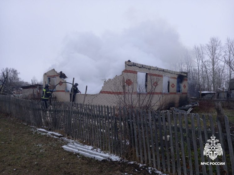 Два человека погибли во время пожара в доме в Тамбовской области