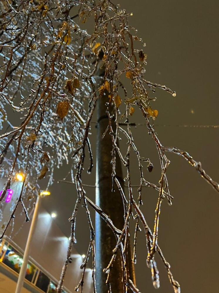 Ледяной дождь прогнозируют синоптики в Нижнем Новгороде 4 декабря