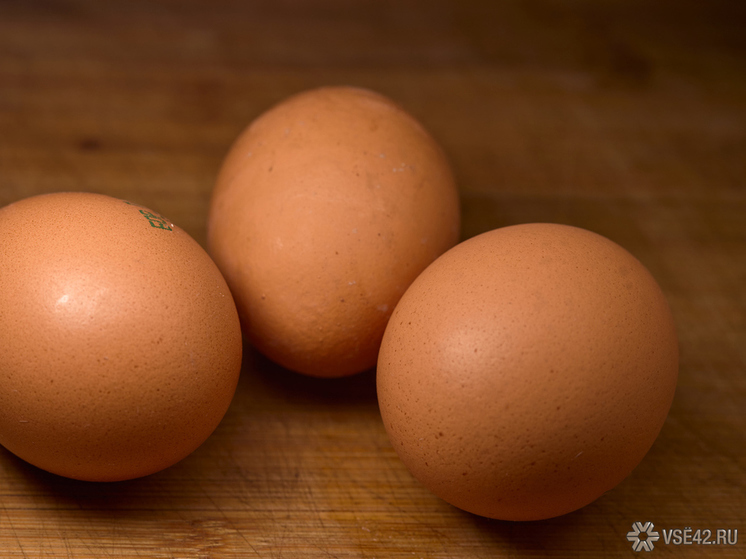 Елена Малышева назвала полезное для зрения сочетание продуктов