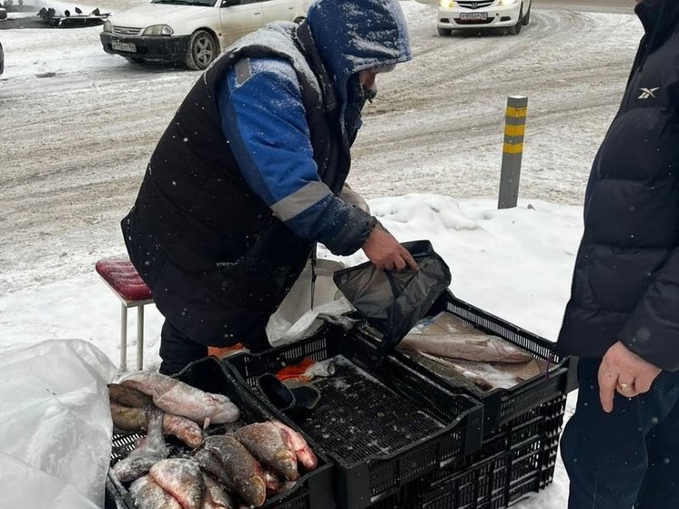 В Заельцовском районе Новосибирска изъяли более 40 кг сомнительной рыбы