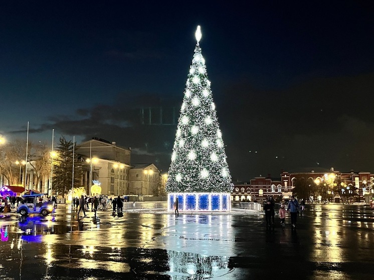 Мэрия анонсировала установку 22-метровой елки в центре Саратова