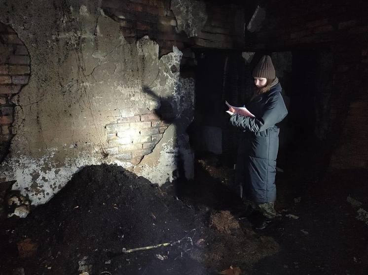 В Омской области возбуждено уголовное дело после пожара в деревне Гауф