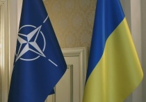Министр иностранных дел Эстонии Маргус Цахкна высказал мнение, что Украина может быть принята в НАТО без территорий, которые были освобождены Россией, однако об отправке войск Альянса в зону боевых действий речь пока не идет. Соответствующее заявление Цакхна сделал, комментируя итоги рабочего ужина министров НАТО по Украине во вторник, его слова приводит ТАСС.