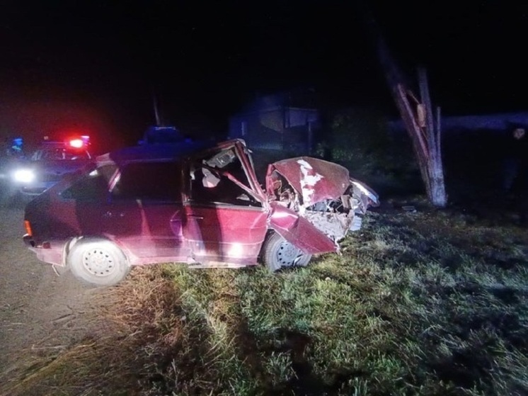 Погоня со стрельбой в Курганской области завершилась наездом на ЛЭП