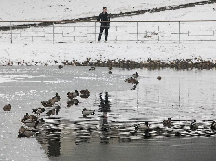 В Москве спасатели усилили контроль безопасности на реках и водоемах