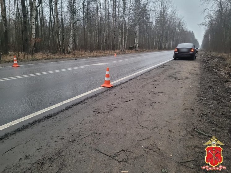 Во Всеволожском районе автомобиль насмерть сбил пешехода с велосипедом