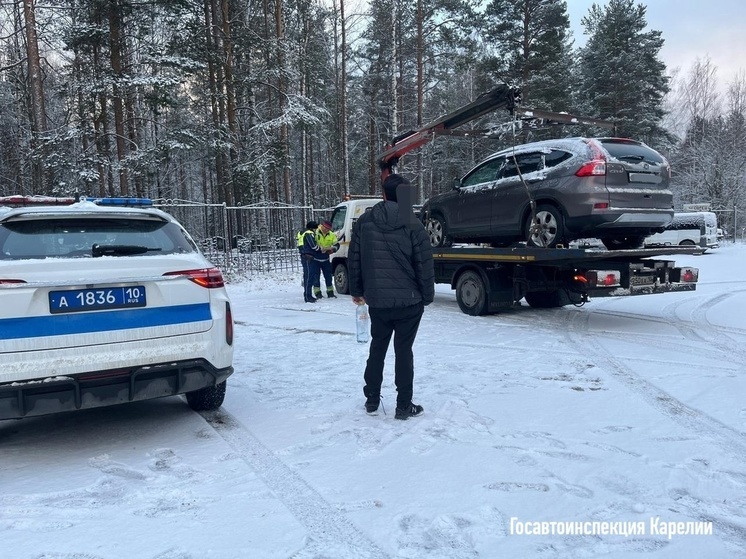 В Прионежском районе стало на одного пешехода больше