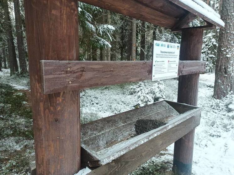 Жители Ленобласти могут помочь в зимней подкормке птиц в заповедниках
