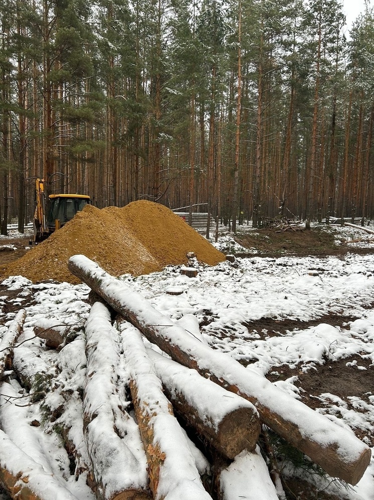 «Зеленый пояс» Тамбова начали вырубать