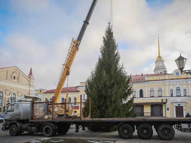 В Рыбинске установили главную городскую новогоднюю ель