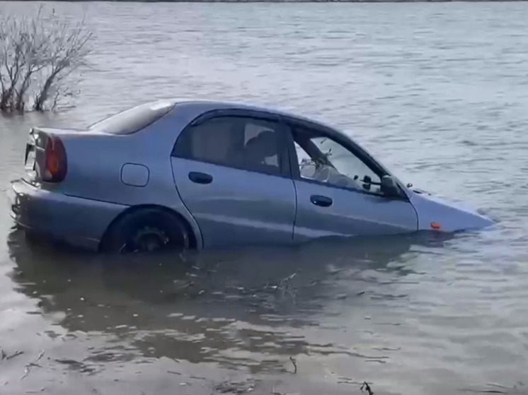 Автомобиль с двумя людьми и собакой съехал в водохранилище в Крыму