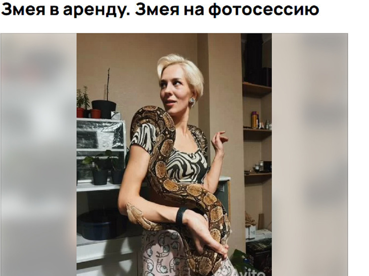 Красноярцам начали предлагать аренду змей для фотосессий к Новому году