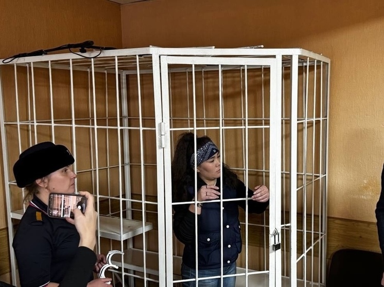 В Новосибирске осудили мигрантку за истязание своего ребенка