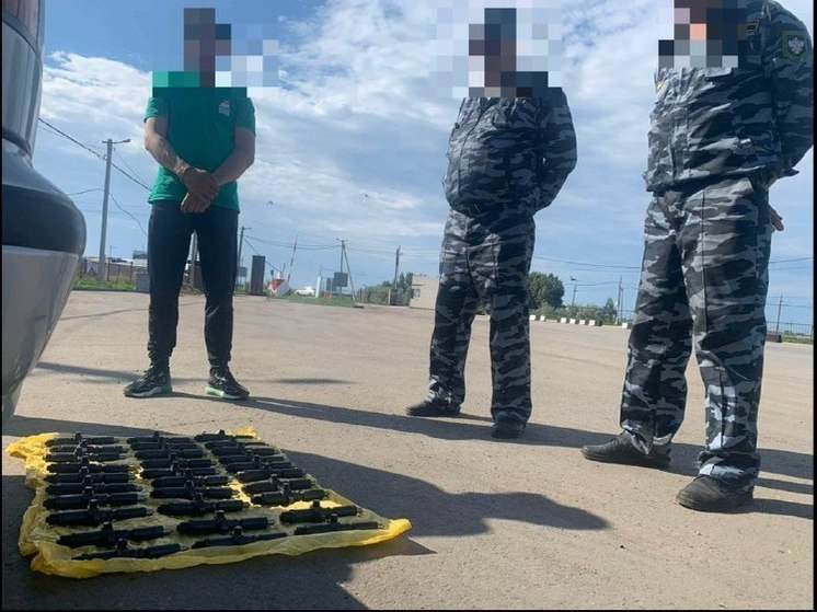 В Алтайском крае иностранцы получили сроки за контрабанду запчастей для военной техники