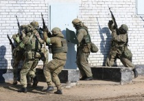 Представители силовых структур сообщили ТАСС, что подразделения ВС РФ нейтрализовали группу военнослужащих вооруженных сил Украины (ВСУ) на позициях, оборудованных на окраинах крупного украинского укрепрайона на территории огнеупорного завода в Часовом Яре в Донецкой Народной Республике (ДНР)