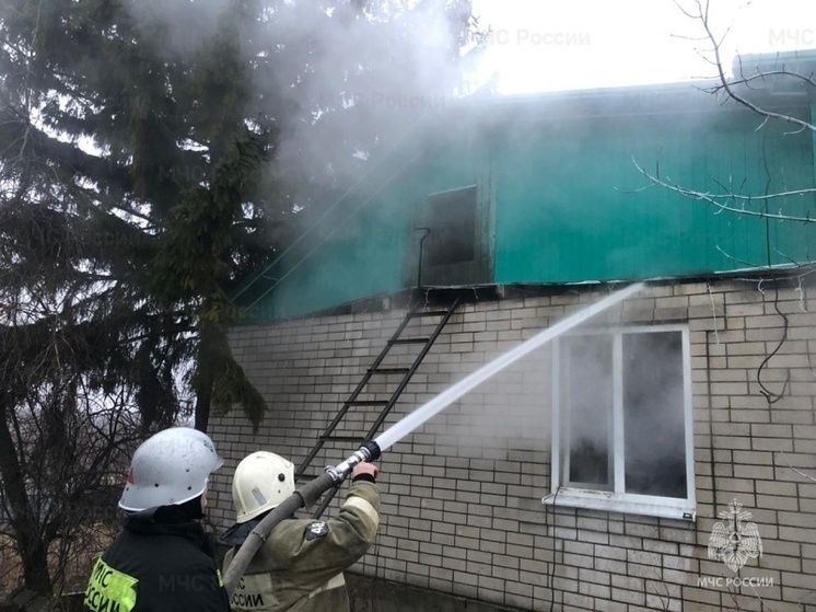 В Колпне из горящего дома удалось спасти кошку