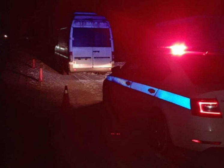 Сотрудники ГАИ помогли пассажирам сломавшегося микроавтобуса под Рязанью