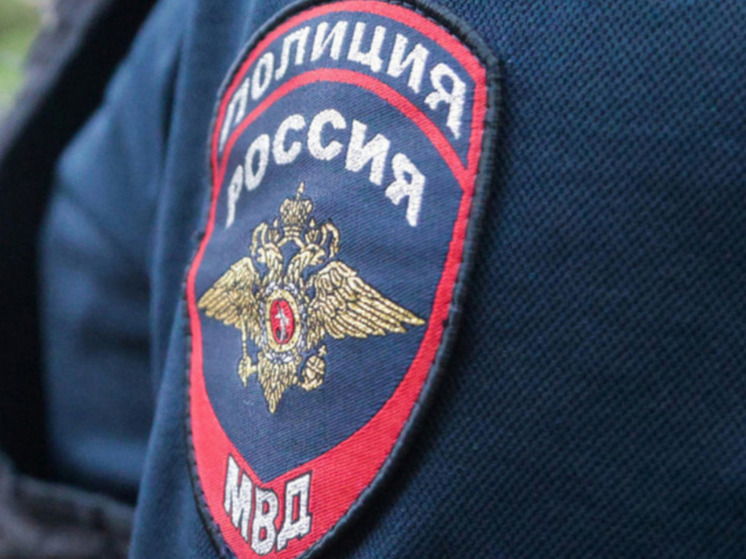 Деда Мороза-контрабандиста объявили в розыск полицейские в Санкт-Петербурге