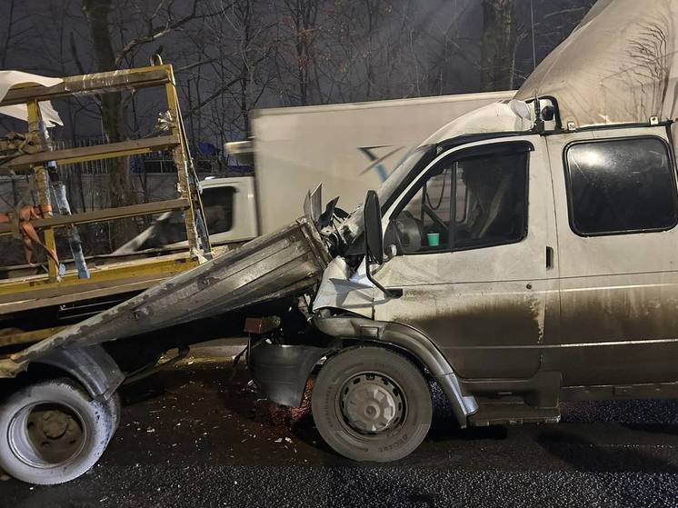 Два человека пострадали в массовом ДТП с грузовиками на трассе М-5 в Рязани