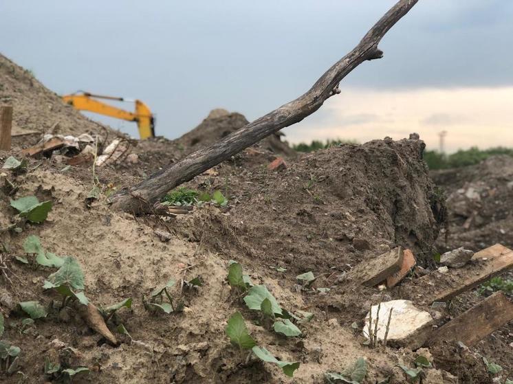 В Ленобласти за год ликвидировали 253 незаконные свалки