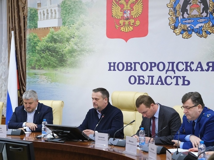 В Новгородской области усилили меры противодействия БПЛА после атаки на Окуловку