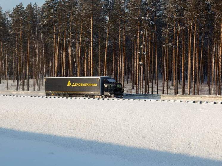 «Деловые Линии» уменьшили сроки межтерминальных перевозок по более чем 5000 направлений