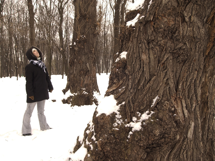 Жители Дубны умоляют не благоустраивать Чернореченский лес