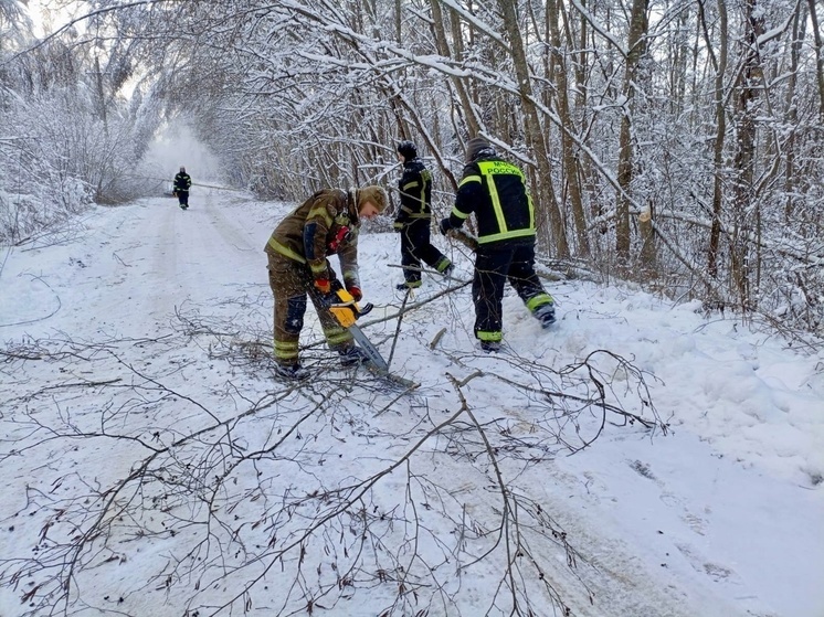 Сапа: в Тверской области после сильнейшего снегопада 21 ноября без света остались десятки населенных пунктов