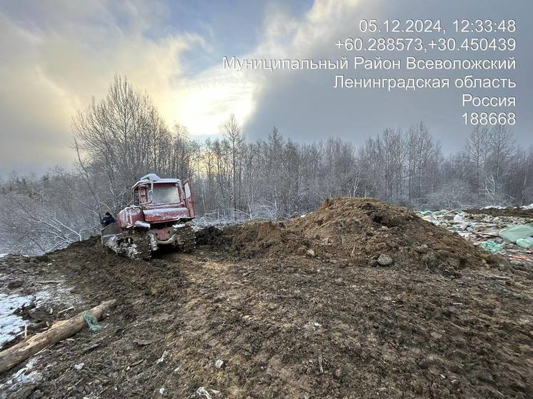В Куйвозовском сельском поселении изъяли спецтехнику за нарушение экозакона