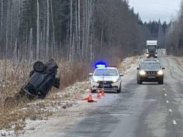 В Окуловском районе легковой автомобиль скатился в кювет