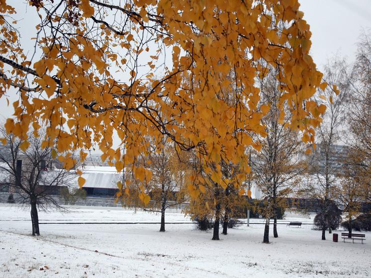 В Подмосковье сформируется снежный покров до 10 см уже в конце выходных