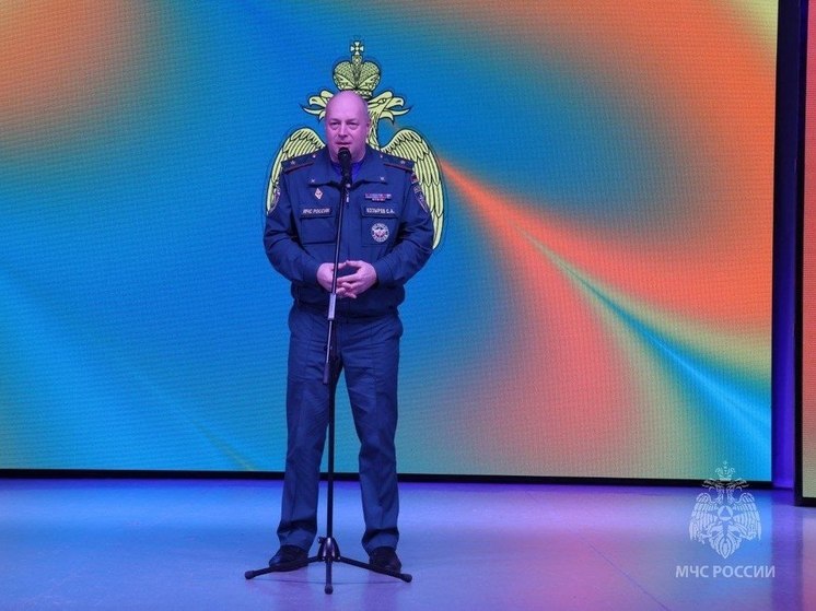Два жителя Новгородской области получили награды за помощь пожарным и спасателям