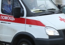 Телеграм-канал Amur Mash сообщает, что в одной из школ Владивостока на ученицу шестого класса рухнула скамейка, на которой девочка каталась по лестнице