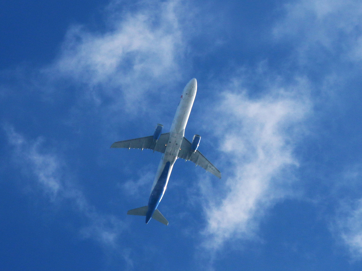 В Шереметьево задержали пассажира, устроившего дебош на борту самолета