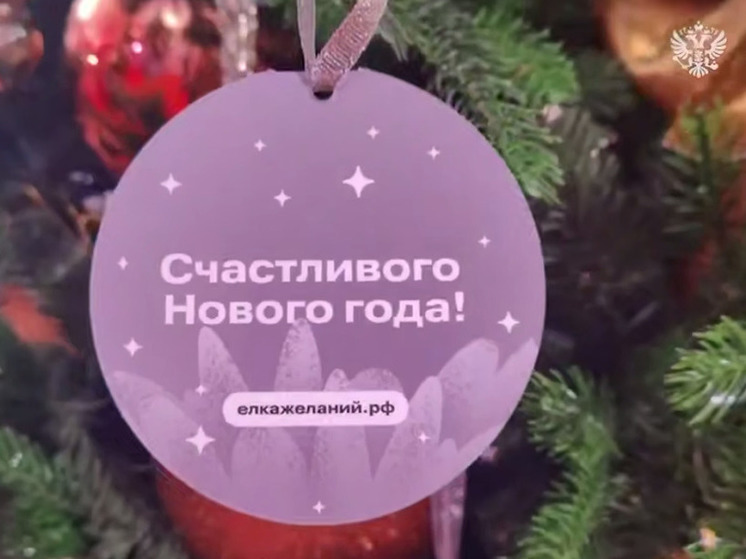 Владимир Путин исполнит новогоднюю мечту маленькой белгородки