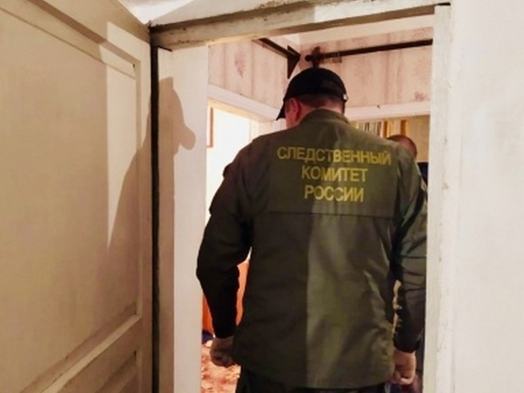 Липчанин до смерти забил знакомого в Задонске
